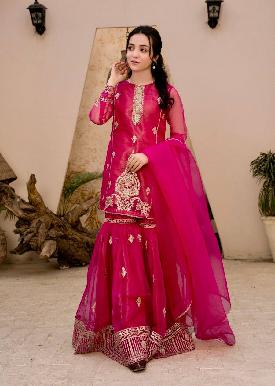 Glamorous Dark Pink Palazzo Suit in Embroidered Diamond Georgette - Jaipur Blossom