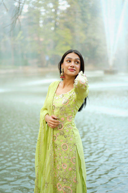 Malika-NSR-Heavy Faux Georgette Sharara pair NSR