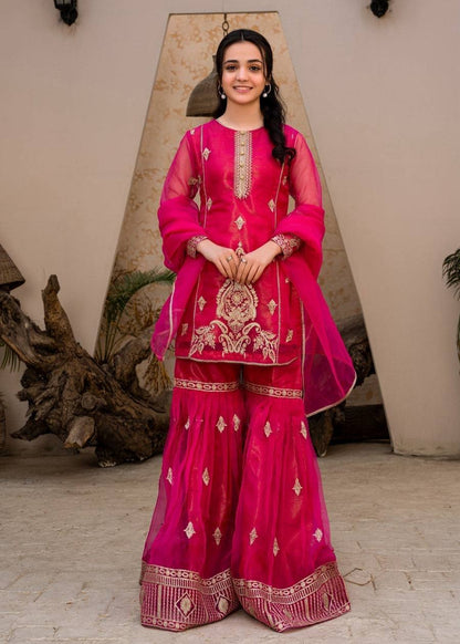 Glamorous Dark Pink Palazzo Suit in Embroidered Diamond Georgette - Jaipur Blossom