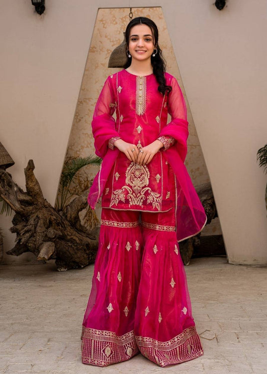 Glamorous Dark Pink Palazzo Suit in Embroidered Diamond Georgette - Jaipur Blossom