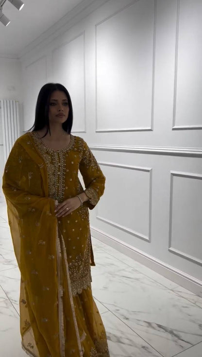 Avnika-HK Faux Georgette Top-Plazzo Set